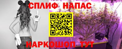 метадон Камышлов