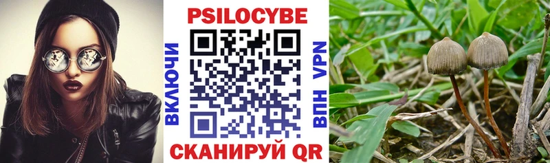 Галлюциногенные грибы ЛСД  Лесосибирск 
