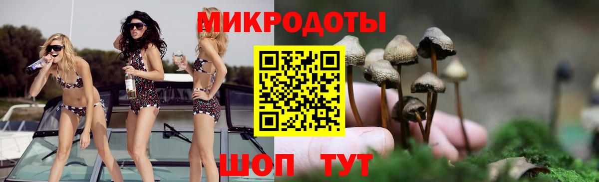 Галлюциногенные грибы Psilocybine cubensis Лесосибирск
